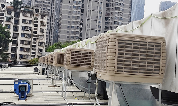 Ventilation and Cooling Project for a Farmers’ Market in Fuzhou, Fujian Province